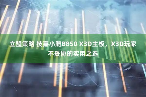 立盟策略 技嘉小雕B850 X3D主板，X3D玩家不妥协的实用之选