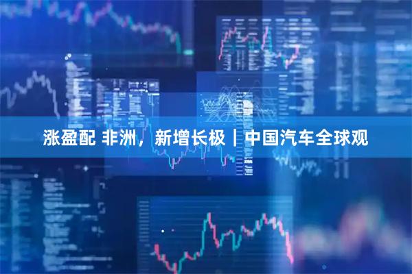 涨盈配 非洲，新增长极｜中国汽车全球观
