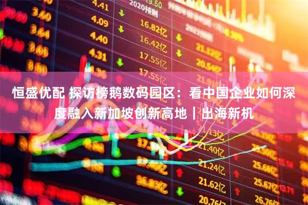 恒盛优配 探访榜鹅数码园区：看中国企业如何深度融入新加坡创新高地｜出海新机