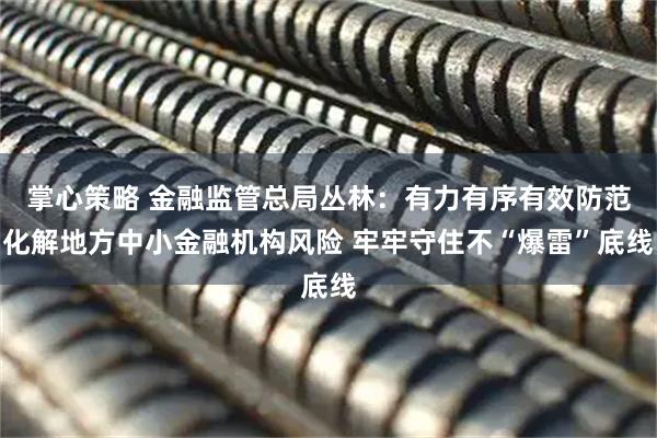 掌心策略 金融监管总局丛林：有力有序有效防范化解地方中小金融机构风险 牢牢守住不“爆雷”底线